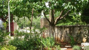 A garden with various plants and a stone wall. - Apartments Jasmina (Rovinj)