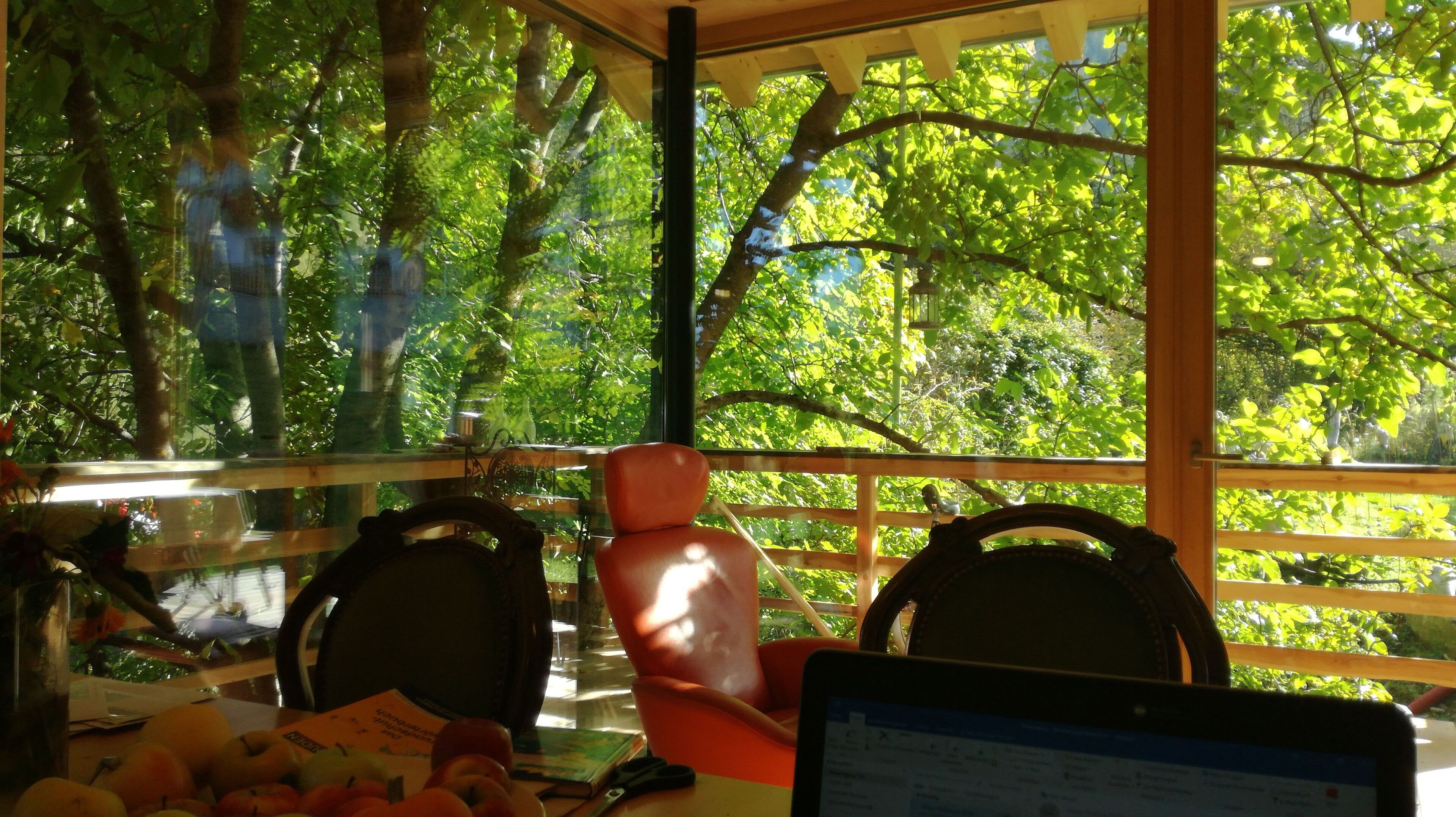 Une pièce avec vue sur une forêt verdoyante, grâce à de grandes fenêtres, comprenant une chaise en bois et un bureau avec un ordinateur portable.