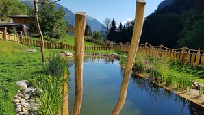 Eine Holzterrasse führt zu einem stillen Teich, umgeben von üppigem Grün und einem Holzzaun.