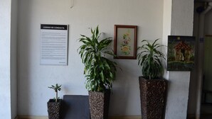 A wall with a conduct code sign, two large potted plants, and two framed pictures. - Hotel Elimar (Girardot)
