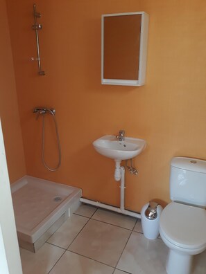 Shower, towels, toilet paper