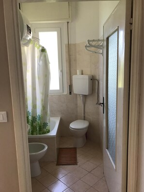 Combined shower/bathtub, hair dryer, bidet, towels
