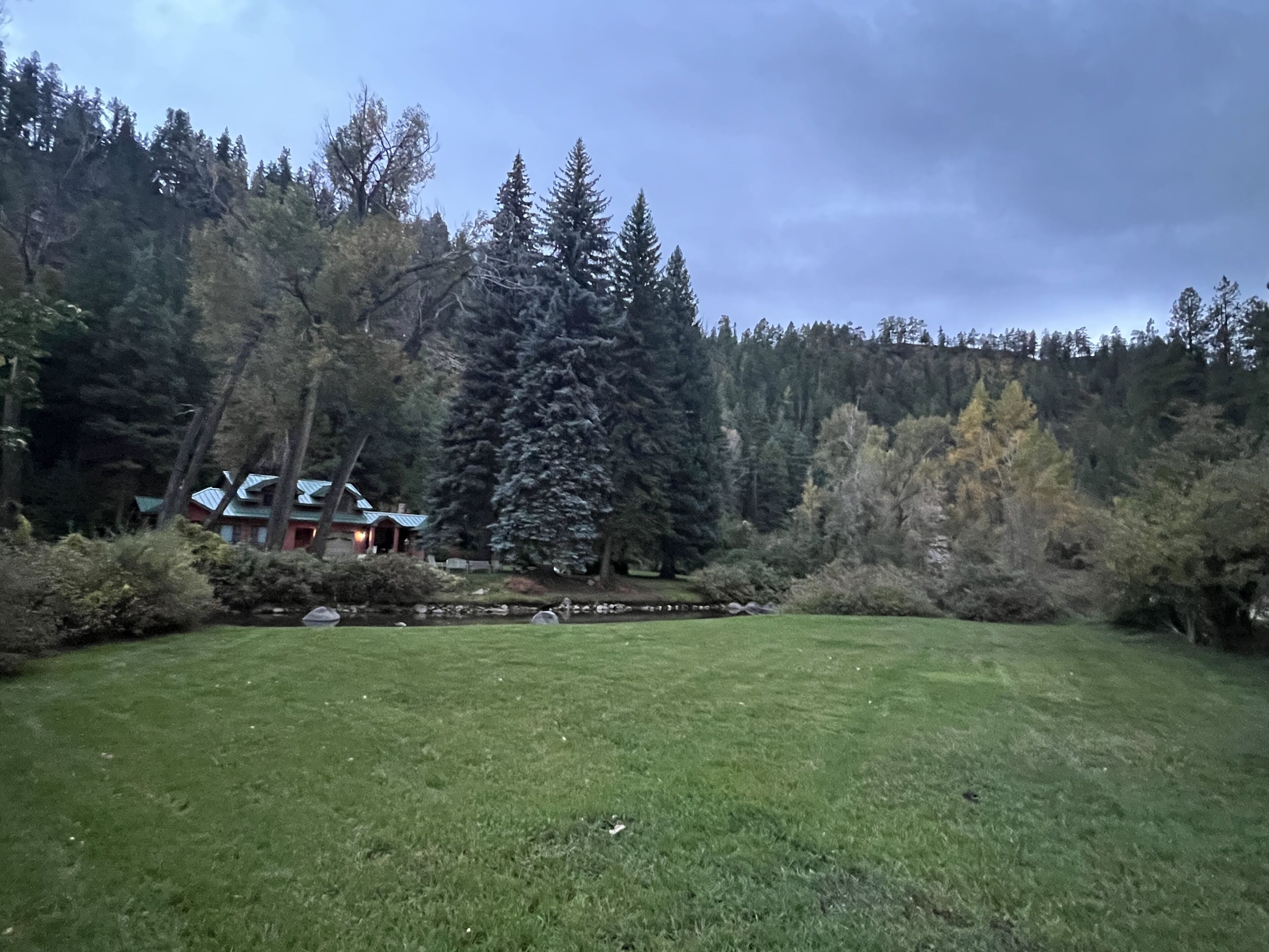 Una casa circondata da un bosco e un prato.