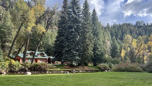 A house with a green roof, surrounded by a well-maintained lawn and a variety of trees. - Riverfront (600 feet), 3.65 Acres, Park Like Setting - 2 Bedroom (Durango)