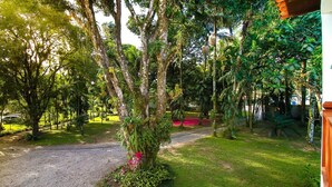 Um caminho rodeado por vegetação exuberante e árvores.