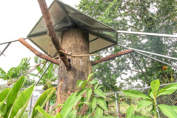 Unclassified image, 1 of 73, button - One-bedroom Suite (Liberia)