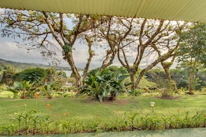 House, 1 Double Bed (One-Bedroom Suite) | Garden view - One-bedroom Suite (Liberia)