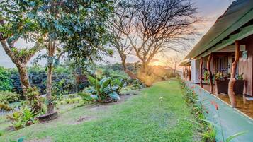 Rumah, Beberapa Tempat Tidur (One-Bedroom Suite) | Taman