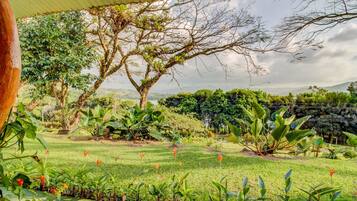 House, 1 Double Bed (One-Bedroom House) | Garden