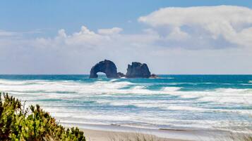 Nhà, nhiều giường (One-Bedroom Apartment) | Bãi biển | Gần bãi biển