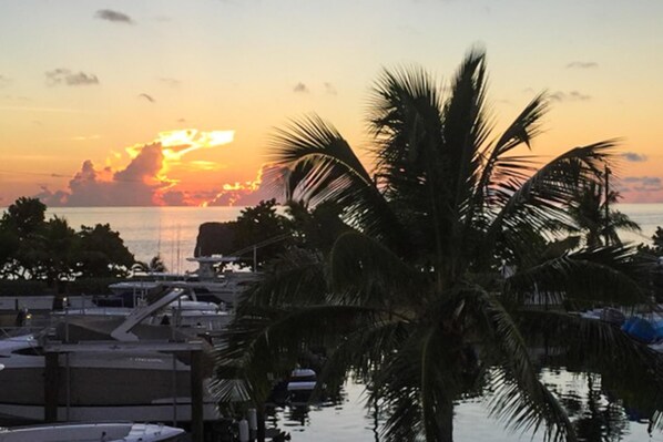 House, 1 Queen Bed with Sofa bed (One-Bedroom Apartment) | Beach/ocean view