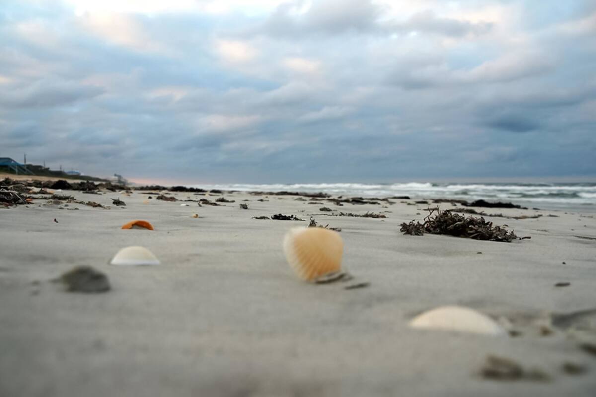 Plage