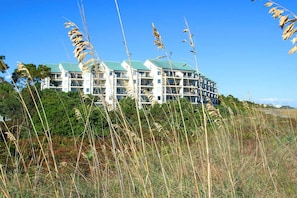 House, Multiple Beds (Two-Bedroom Apartment) | Property grounds