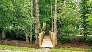 A wooden staircase leading into a forested area with a building in the background. - Northwoods F6 (Davis)