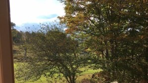 Une terrasse en bois offrant une vue sur un paysage verdoyant et des arbres.
