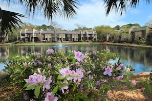 House, 1 King Bed with Sofa bed (Two-Bedroom Apartment) | Property grounds