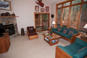 Televisión, chimenea, reproductor de DVD