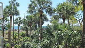 Unclassified image, 2 of 91, button - Two-bedroom Apartment (Hilton Head Island)