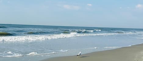 Beach nearby, sun loungers, beach towels