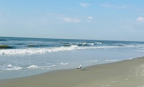 In Strandnähe, Liegestühle, Strandtücher