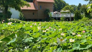Terrein van de accommodatie