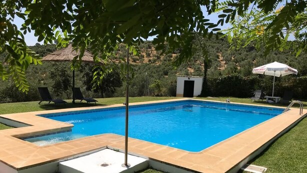 Una piscina rectangular con agua azul cristalina, rodeada por un solárium con baldosas y una zona de césped. Se observan sillones de descanso y un edificio pequeño al fondo.