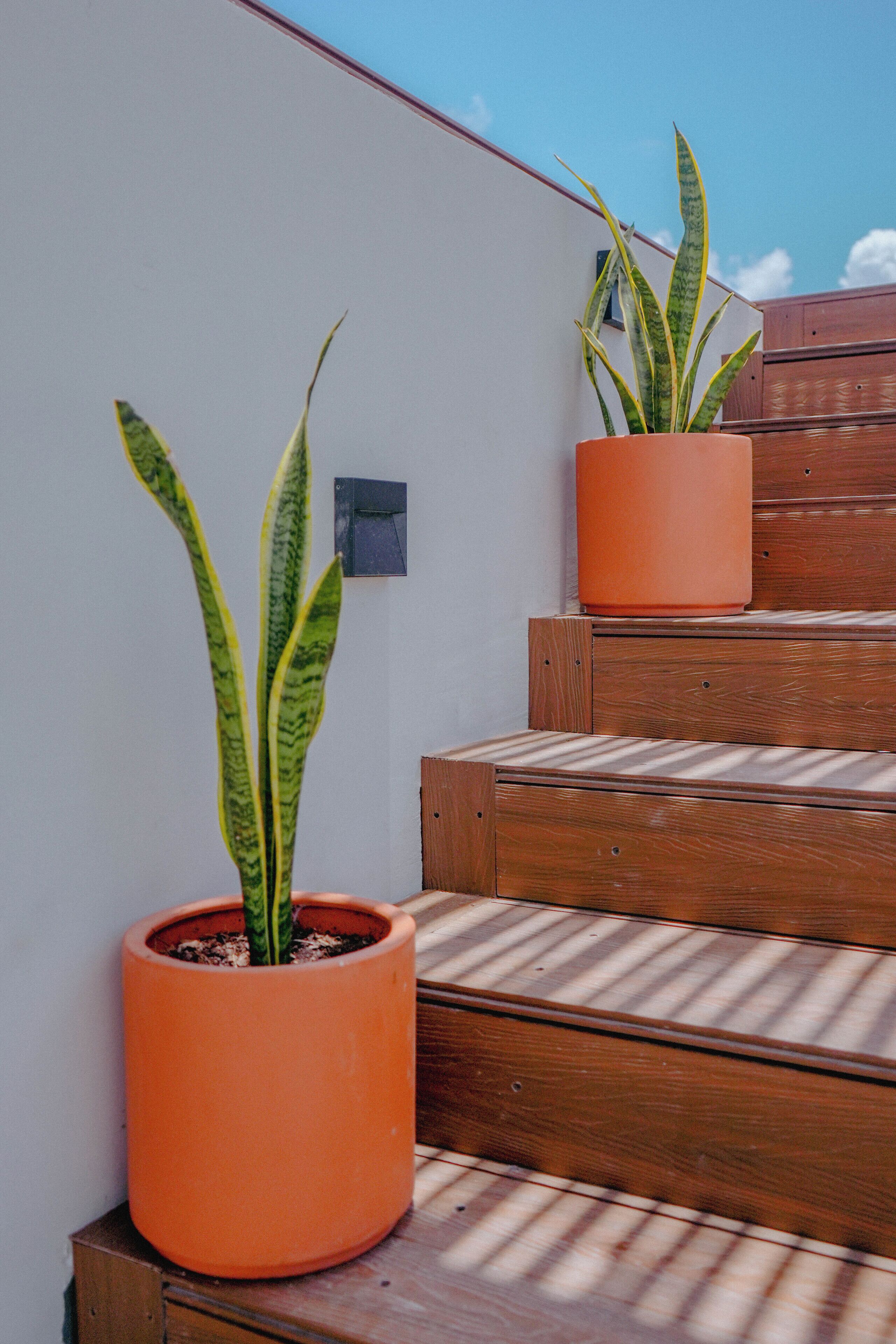 Photo - Macondo Quinta Avenida Residences