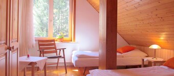 Holiday house in the Low Tatras - Maluzina