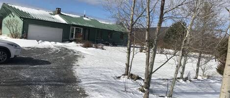 A green house with a metal roof, a driveway, and snow-covered ground.