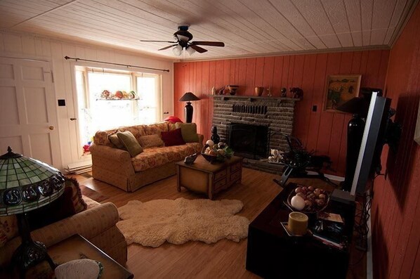 Hus | Oppholdsrom | Flatskjerm-TV, peis og DVD-spiller