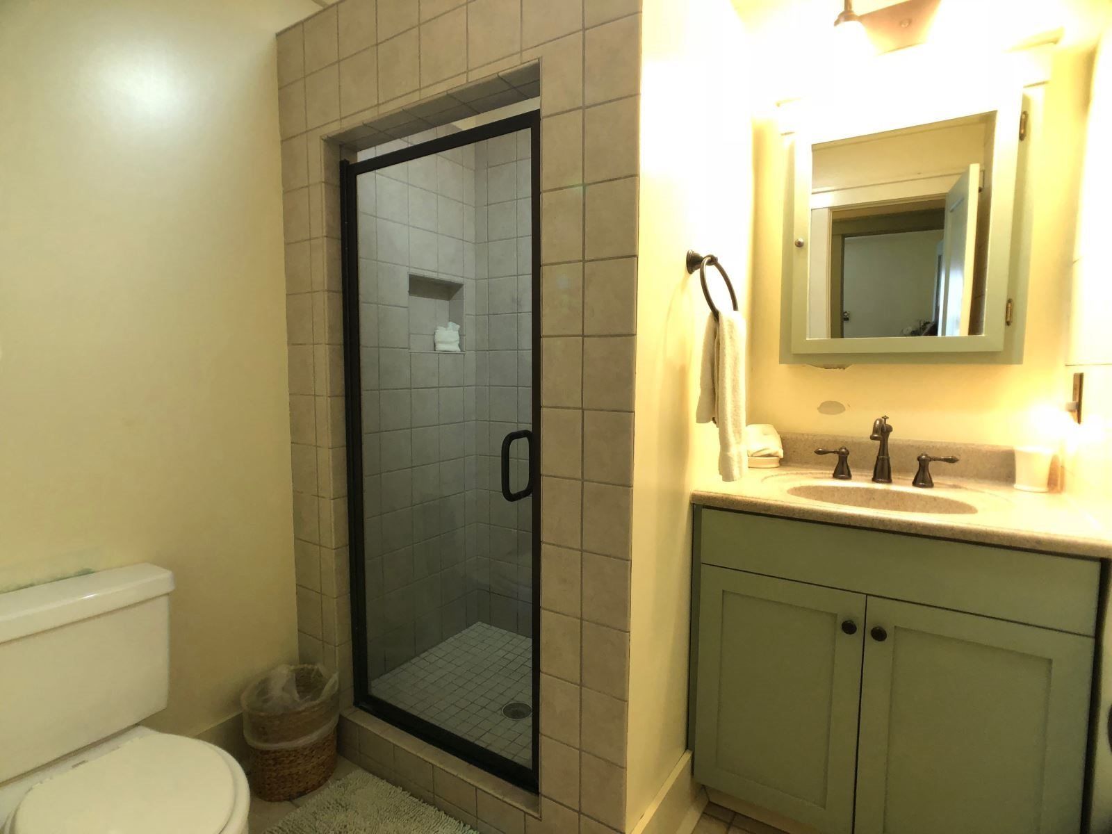 Une salle de bain avec une douche à parois de verre, des toilettes, un lavabo avec un miroir et une poubelle.