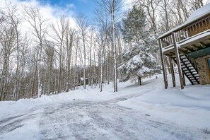 House | Exterior - Bearfoot Lodge (Davis)