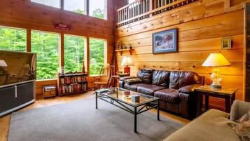 House | Living room | TV, fireplace, DVD player, books