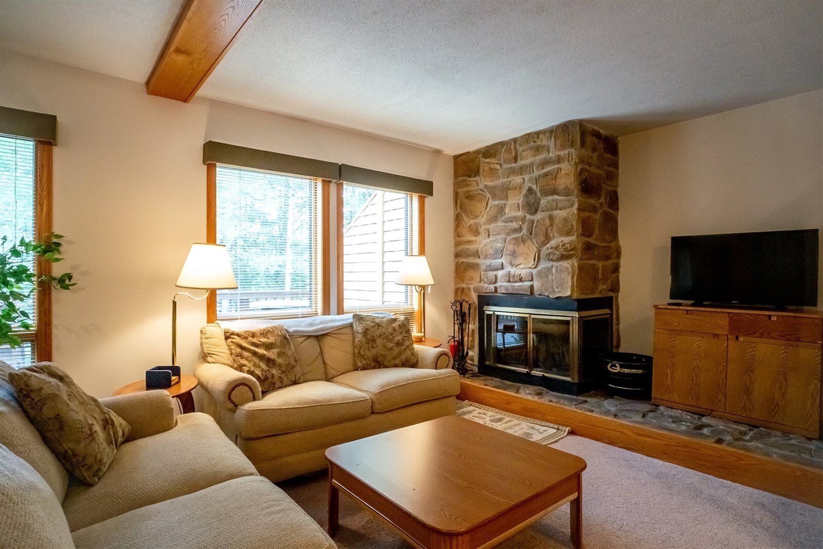 House | Living room | TV, fireplace, DVD player