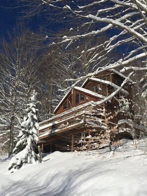 House | Exterior - Cardinal Haus (Davis)