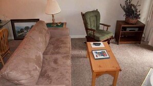 A living room with a sofa, a green armchair, a wooden coffee table, a lamp, a framed picture, and a plant on a side table. - Beaver Ridge 116 (Davis)