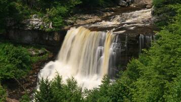 A waterfall cascading over a rocky cliff surrounded by dense green foliage.