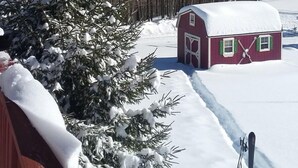 House | Snow and ski sports - Alpine View (Dryfork)