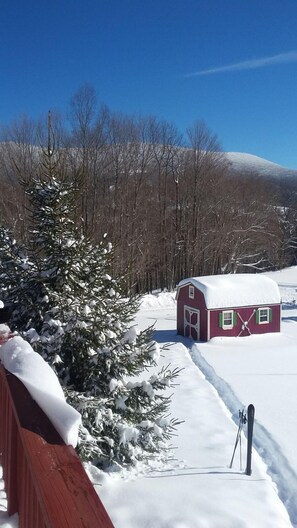 House | Snow and ski sports - Alpine View (Dryfork)