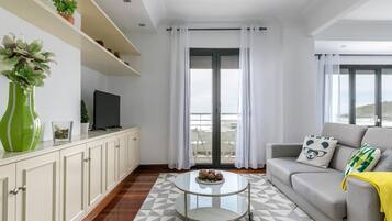 Plasma TV, DVD player, books