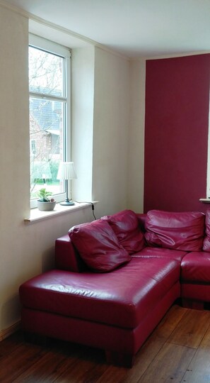 TV, DVD player, table tennis