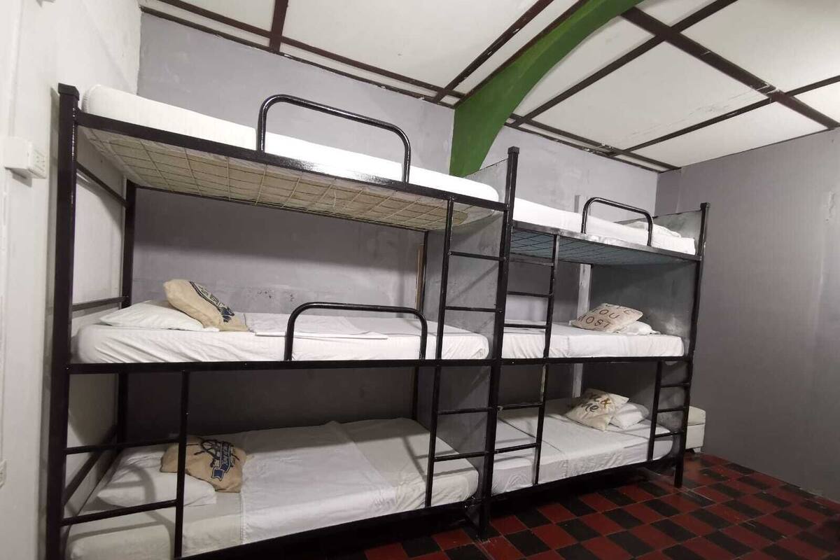 Comfort Shared Dormitory, Garden View - Capri | Peralatan tempat tidur premium, dihias secara berasingan