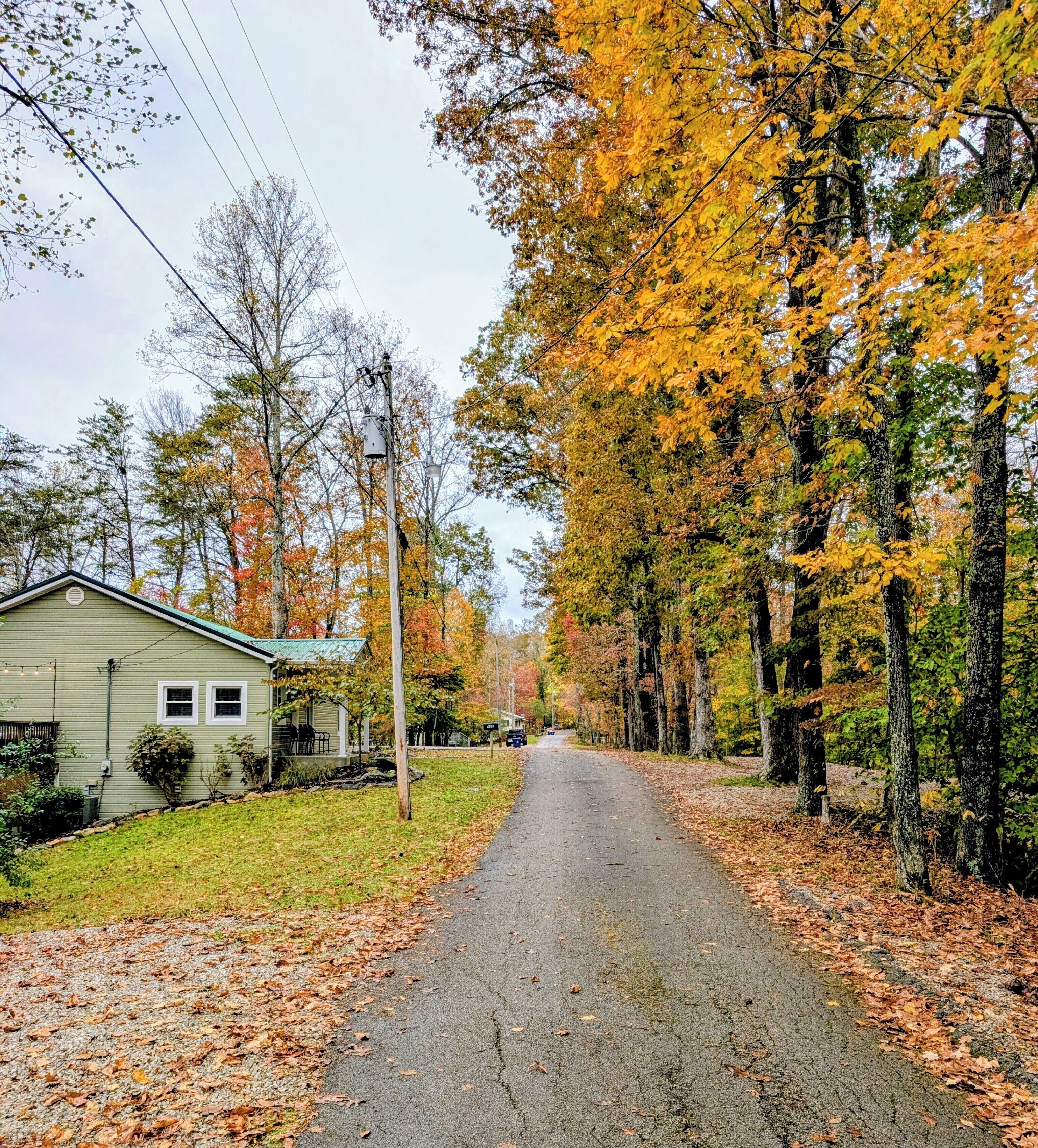 Àrea exterior de l'allotjament