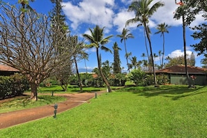 A well-maintained grassy area with a paved path, surrounded by palm trees and a building with a red roof. - Remodeled 2BD 2BA Hawaiian Cottage w Pool AC Walk to Beach International Colony Club 20 (Lahaina)