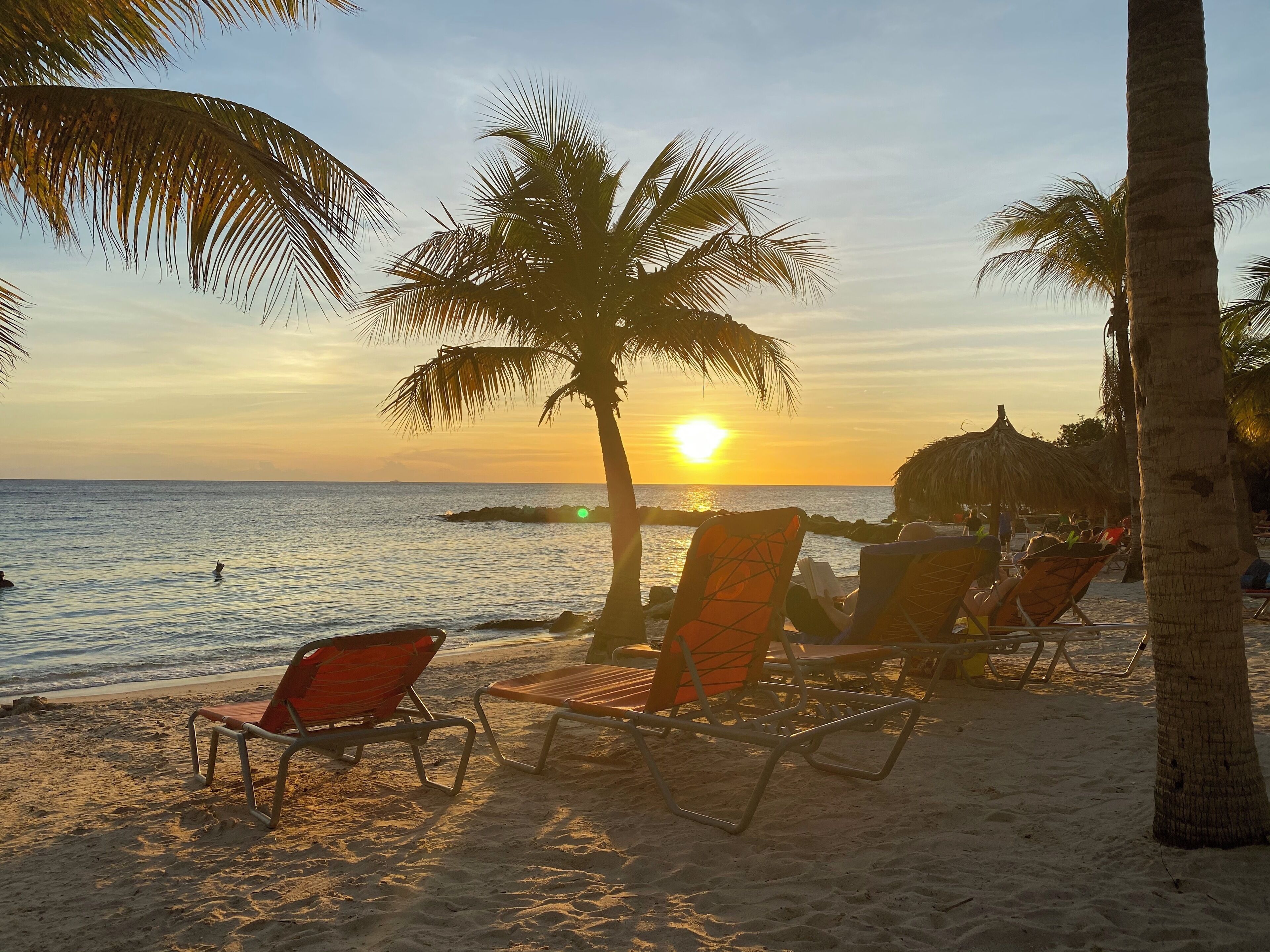 Une plage bordée de palmiers, un coucher de soleil et des chaises longues.