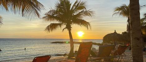 Une plage bordée de palmiers, un coucher de soleil et des chaises longues.