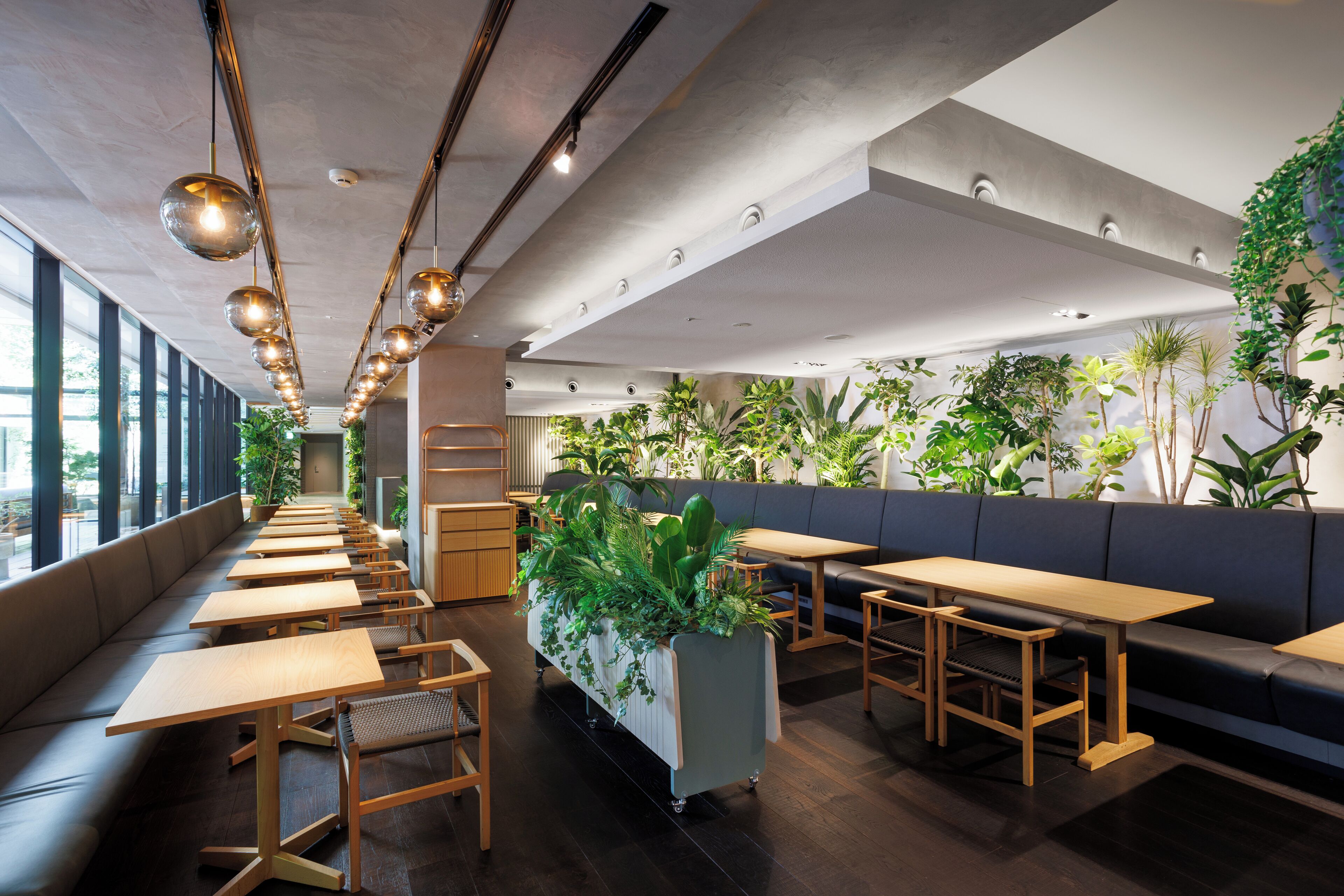 2 restaurants, vegan cuisine