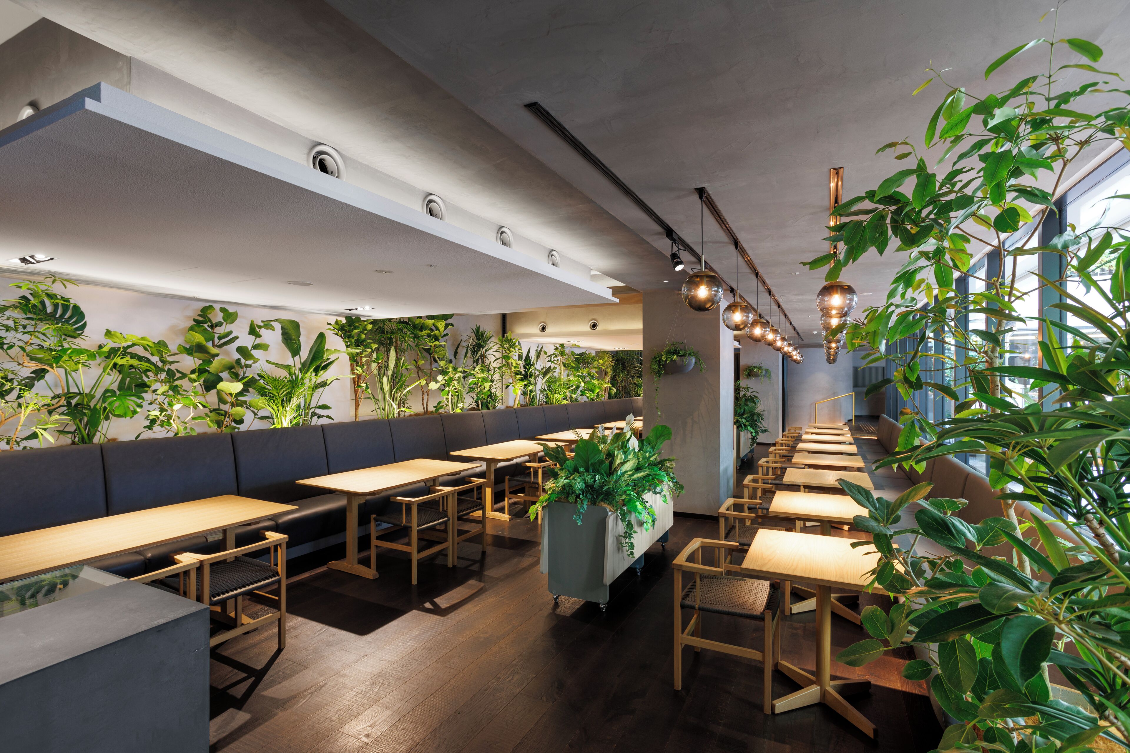 A modern restaurant with wooden tables and benches, green plants, and pendant lighting.