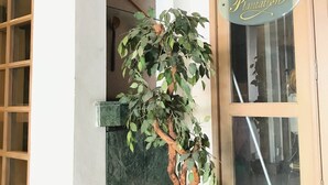 A potted tree in a hallway with a sign reading "The Plantation" on a door. - The Executive Hotel Lahad Datu (Lahad Datu)