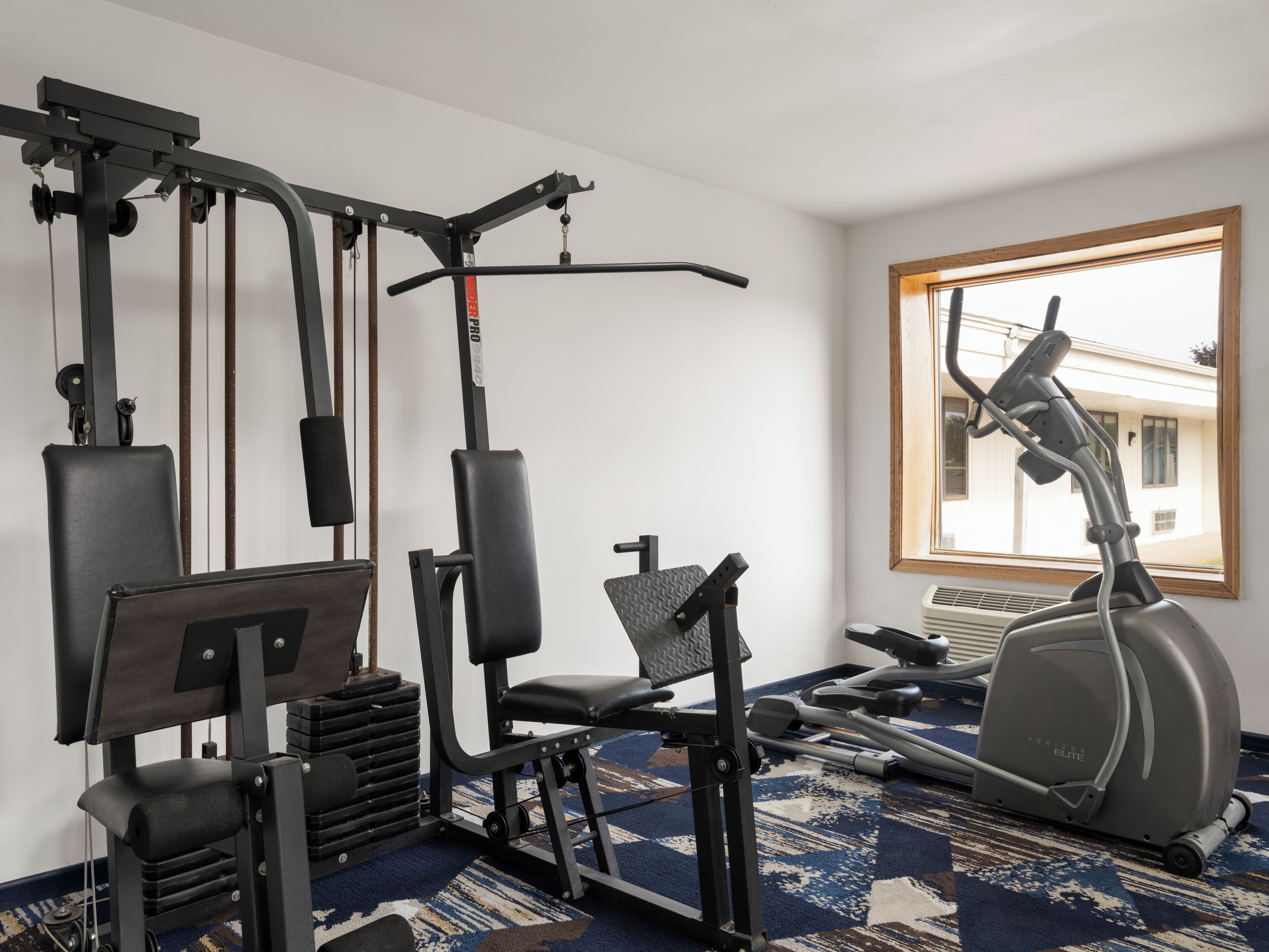 A home gym with exercise equipment, a window with a view, and a patterned carpet.